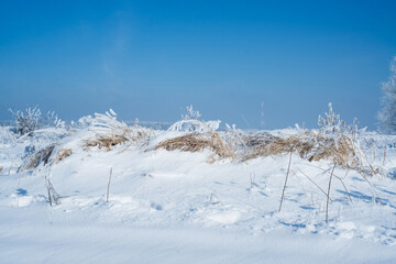 Winter. Season. Snow. Sun. Cold. Ice.