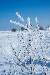 Winter. Season. Snow. Sun. Cold. Ice.