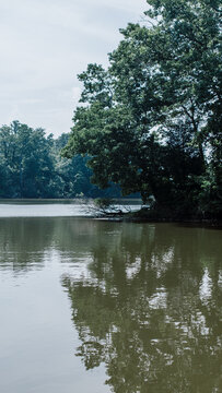 Trees at a bend in the river in Maryland during the daytime