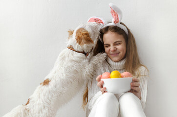  teenage girl 10 years old in a white sweater and jeans, rabbit ears, with pink and yellow Easter eggs in her hands against a white wall, the dog licks the child's face, plays