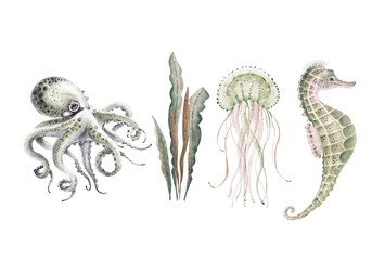 set of watercolor illustrations in marine style on a white background, with marine life, jellyfish, octopus, seaweed and seahorse hand painted - obrazy, fototapety, plakaty