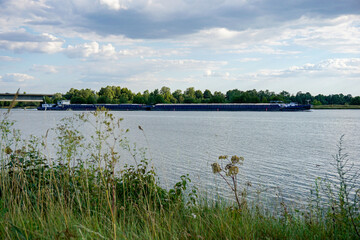 The Danube and its old waters are photographed in Bavaria near Regensburg