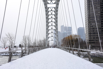 City Bridge in Winter