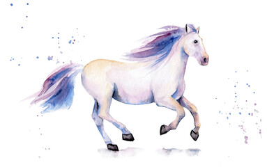 Obraz na płótnie Canvas watercolor drawing of an animal - horse runs