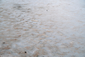 凍った池の表面