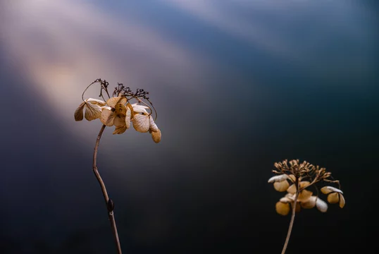 360_F_413871568_ceCQEU0TLE6lsM