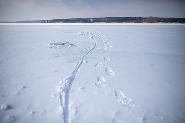 Fototapeta na wymiar footprints on a frozen lake, snowy and cold winter, risky behavior