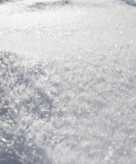 Obraz premium Snow crystals