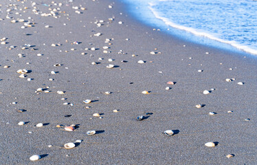 Spiaggia con conchiglie e onda
