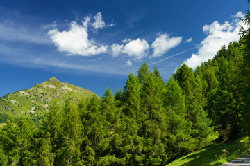 Fototapeta na wymiar Mountain landscape at summer along the road to Mortirolo pass