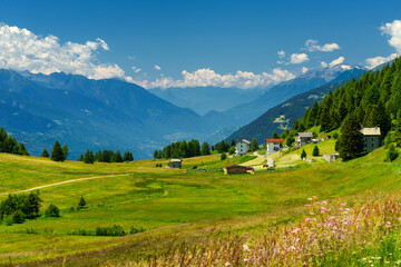 Fototapeta premium Mountain landscape at summer along the road from Mortirolo pass to Aprica