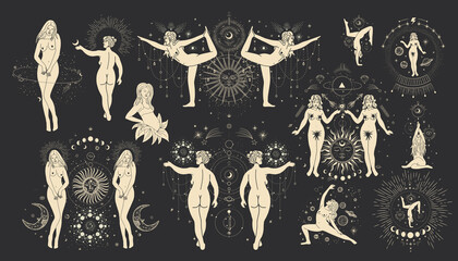 Vintage retro engraving style. the image of an animal in one line. Vector graphics