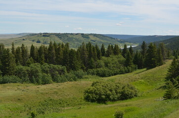 Cypress Hills Lookout