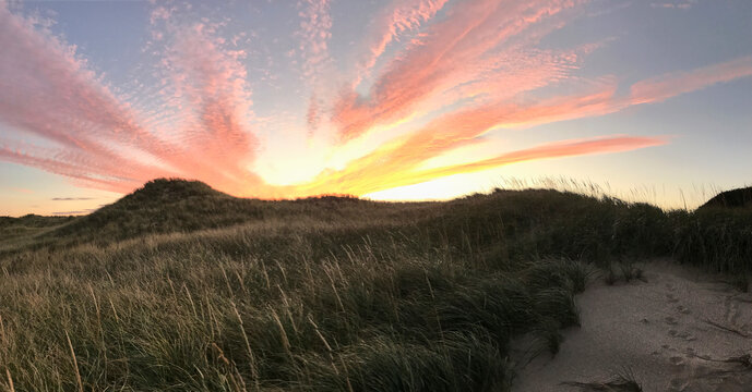 The sun setting over the dunes on Cape Cod