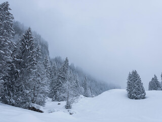 Romantik im Winter mit Schnee