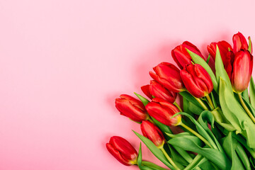 Banner with lush red tulip bouquet on pink background with copy space, text place. Layout for flower shop advertising. Happy Valentine Day card. Fall in love. Minimalism. Beautiful gift certificate
