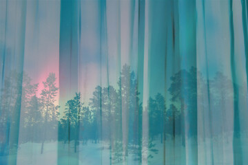 View of snowy woods and colourful dusk sky looking through window with sheer curtains nobody