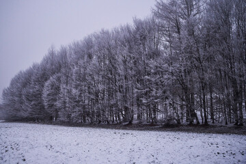 Winterlandschaft Bayern