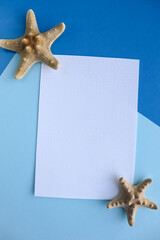 postcard mockup. blank white card with kraft brown paper envelope and seashells   