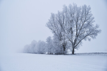 Fototapeta na wymiar Winterlandschaft Bayern
