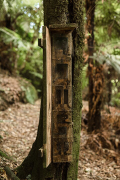 Weta habitat box in a nature reserve in New Zealand