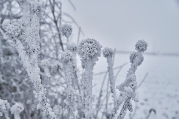 Winterlandschaft Bayern