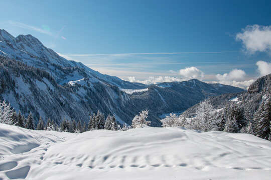 Footsteps In The Snow,  Aravis, French Alps