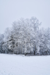 Winterlandschaft Bayern
