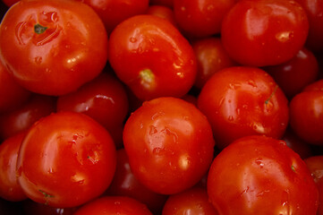 Washed red fresh tomatoes close-up