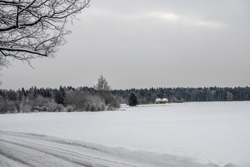 natural landscape with snowy field and forest in winter 