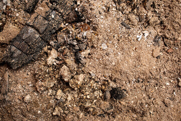 an ash background close up