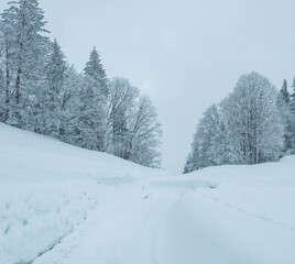 Obraz premium Romantik im Winter mit Schnee
