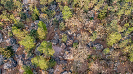 Bird's-eye view of Rocher canon, Fontainbleau Forest, France