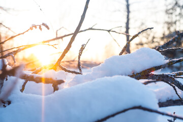Winter. Snow. Sky.
