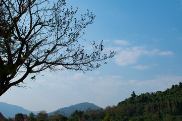 Beautiful views of the sky, mountains, forests and trees.