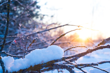 Winter. Snow. Sky.