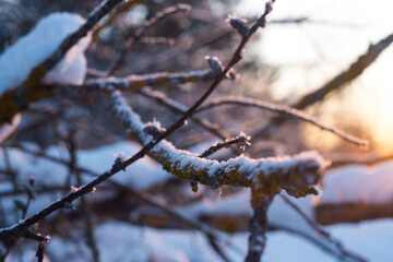 Winter. Snow. Sky.