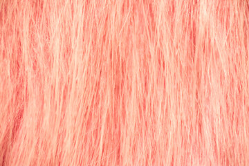 orange fur abstract background with blur