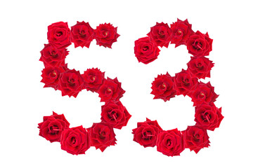 Numeral 53 made of red roses on a white isolated background. Element for decoration. fifty three. Red roses.