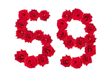 Numeral 59 made of red roses on a white isolated background. Element for decoration. fifty nine. Red roses.