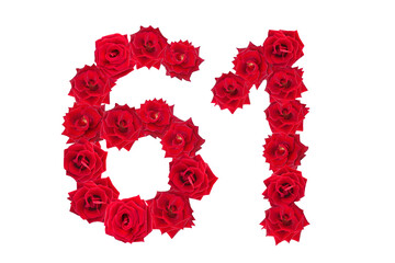 Numeral 61 made of red roses on a white isolated background. Element for decoration. sixty one. Red roses.