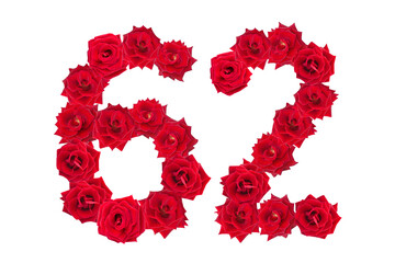 Numeral 62 made of red roses on a white isolated background. Element for decoration. sixty two. Red roses.