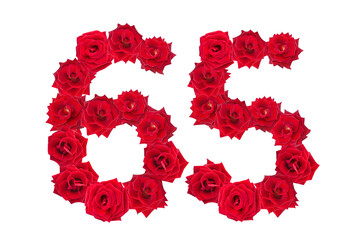 Numeral 65 made of red roses on a white isolated background. Element for decoration. sixty five. Red roses.