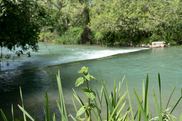 Main source of the Jordan riwer near ancient city Baniyas in Israel at the foot of Mount Hermon