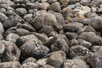 Texture of a lot of large natural round dark gray stone. Selective focus