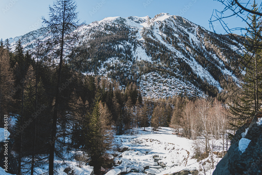 Poster River and trees with a mountain in winter, Cogne, Aosta Valley, Italy