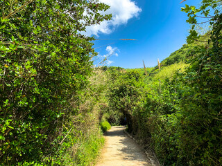 Hiking trail along the hill at Lower Galilee panorama at spring time