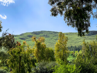 Lower Galilee panorama at spring time