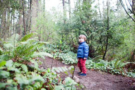 Portrait of boy standing on dirt road amidst trees in forest