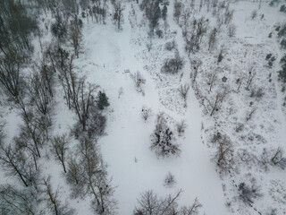 Snow-covered trees in a city park in a blizzard. Aerial drone view. Winter snowy morning.